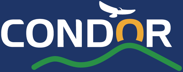 Condor Computing Logo