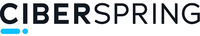Ciberspring International Logo