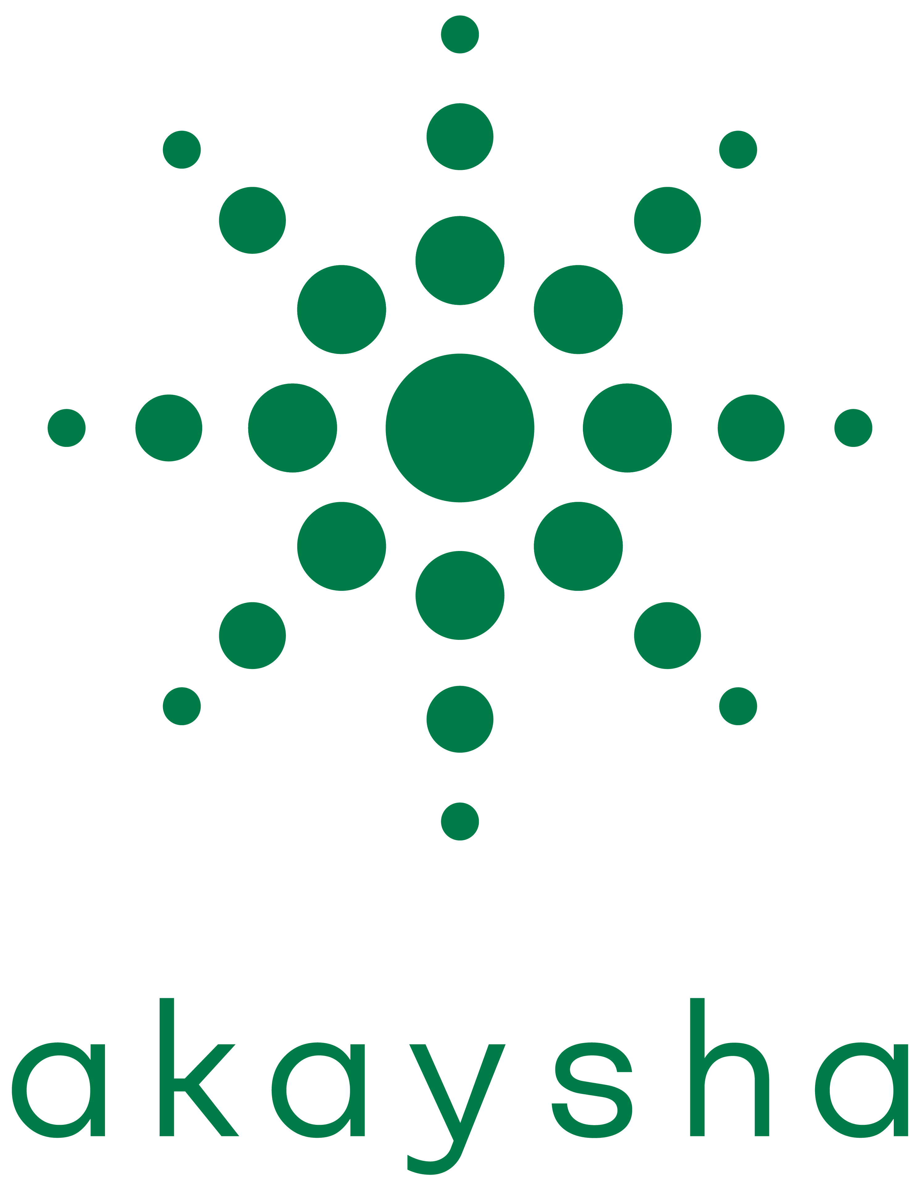 Akaysha Energy Logo