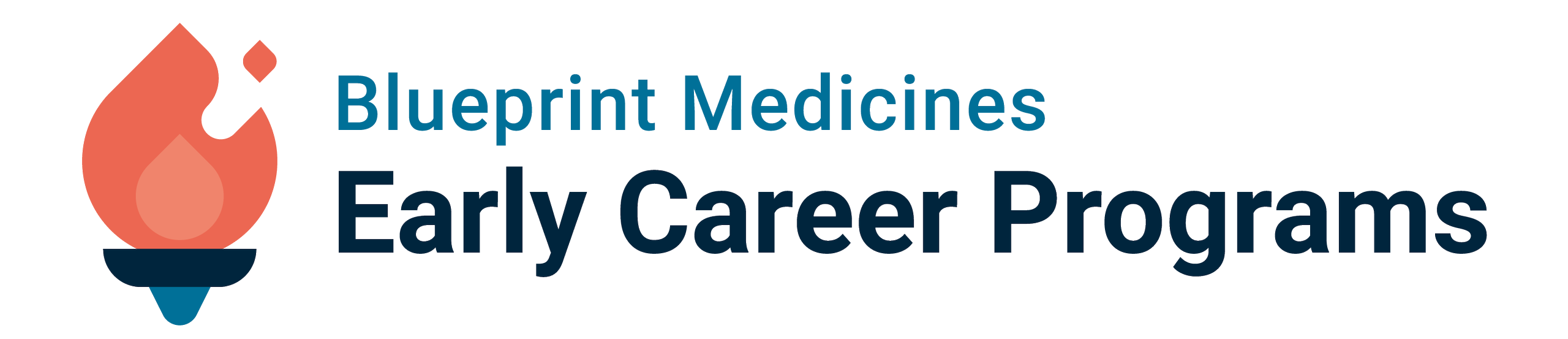 Blueprint Medicines Early Career Programs - Co-op Logo