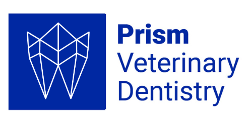 Prism Veterinary Dentistry Logo