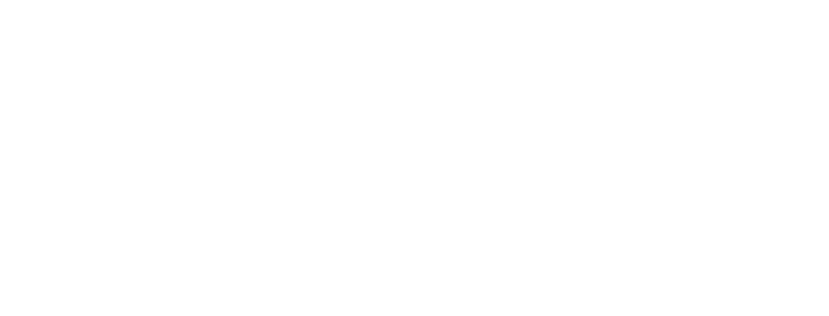 SpaceXAI Logo