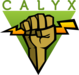 The Calyx Institute Logo